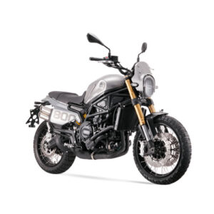 LEONCINO 800